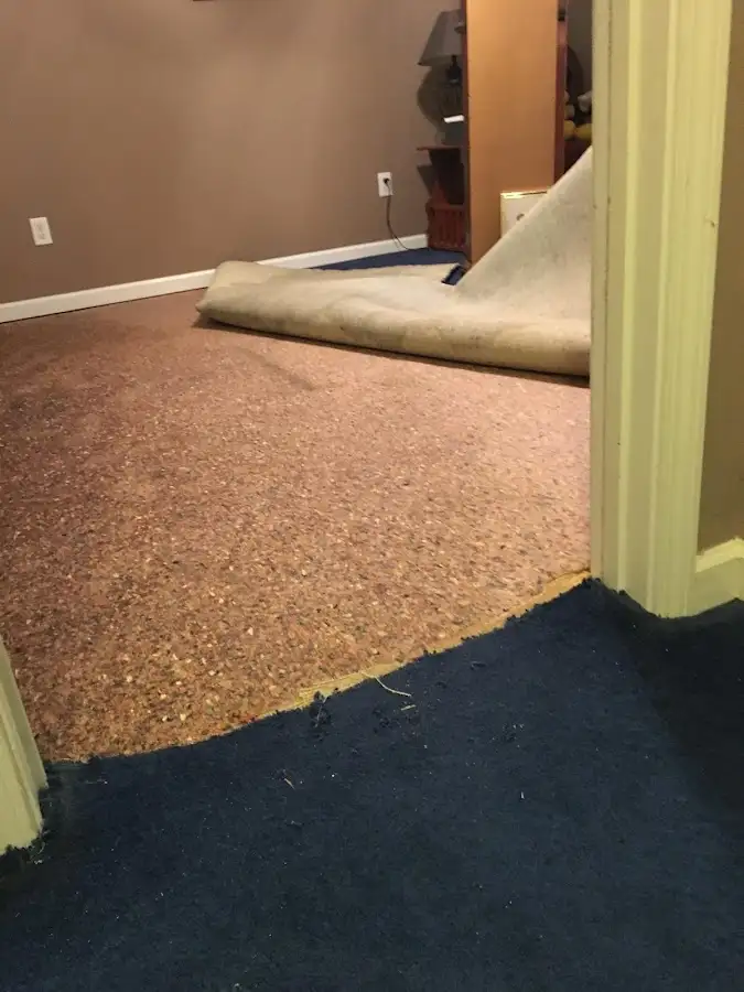 Carpet pad removal revealing water damage during Drying & Dehumidification in Morehead