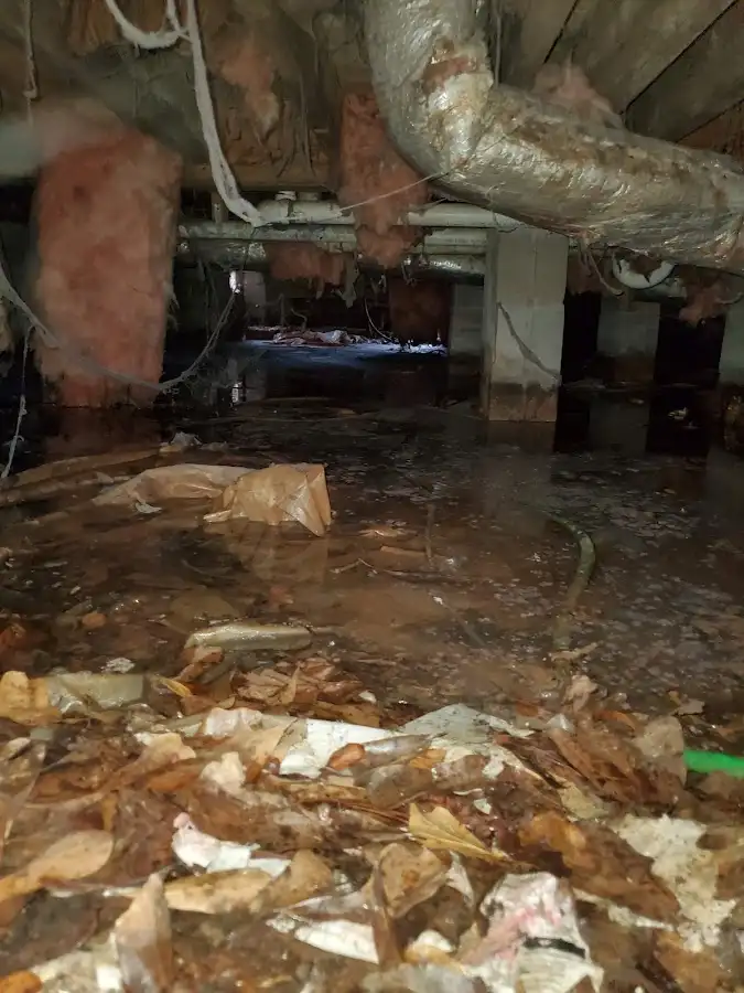 Crawl space flood assessment for Leak Detection & Repair in Morehead