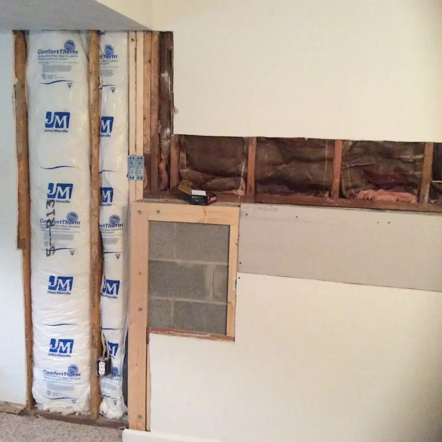 Wall insulation replacement during Odor Removal & Deodorization in Morehead